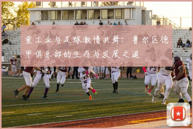 重工业与足球激情共舞：鲁尔区德甲俱乐部的生存与发展之道