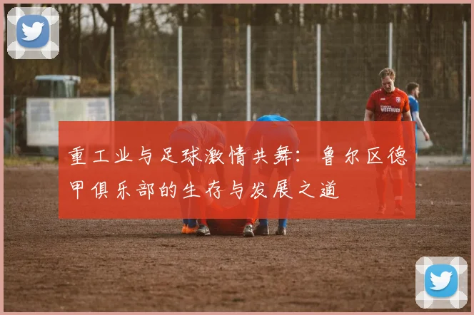 重工业与足球激情共舞：鲁尔区德甲俱乐部的生存与发展之道